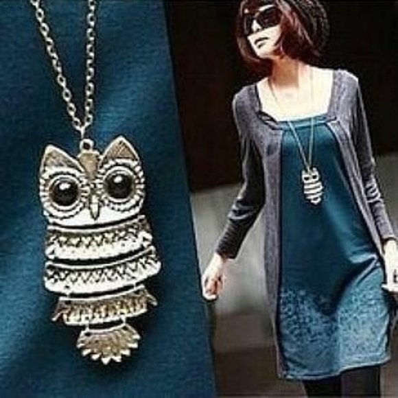 Brand New Long Big Owl Silver Necklace with Bonus. - Picture 2 of 2